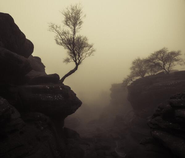 Misty Dawn by SteveF